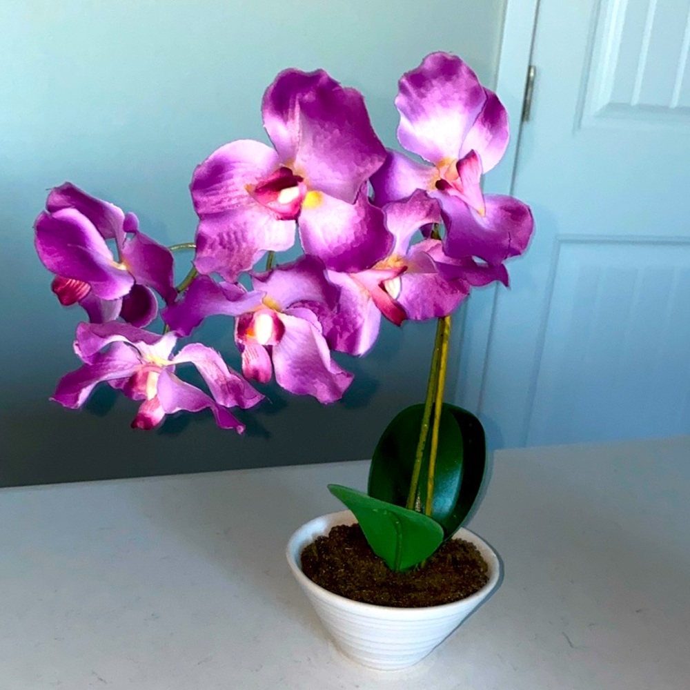 Orchid Plant Luxury decorative flowers with Pot Home Decor Light Pink Small